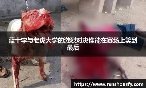 蓝十字与老虎大学的激烈对决谁能在赛场上笑到最后